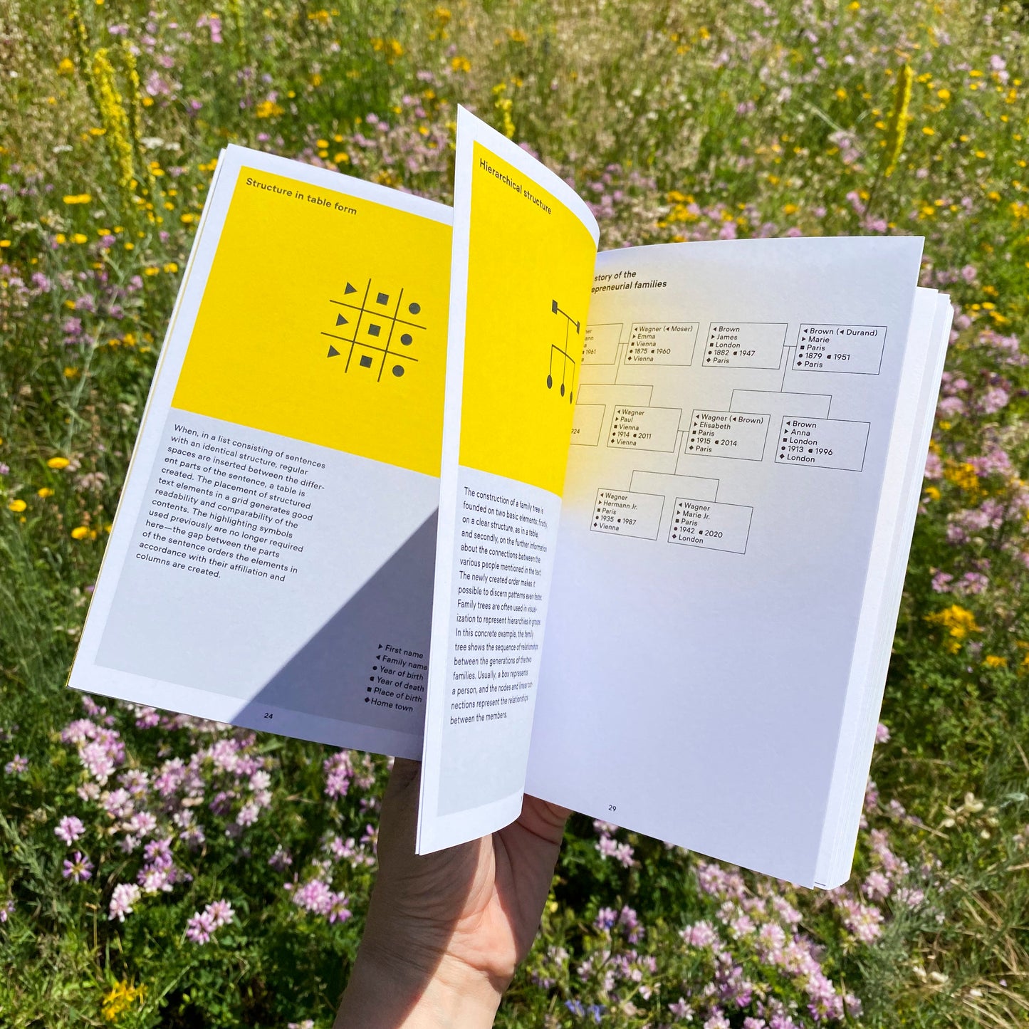 Visualizing Complexity – Modular Information Design Handbook by Nicole Lachenmeier and Darjan Hil Superdot Webshop